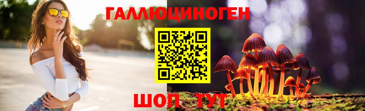 Псилоцибиновые грибы Psilocybine cubensis  Вход с VPN  Юрга 